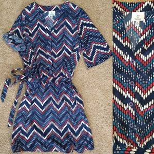 Hot & Delicious Print Shirt Dress